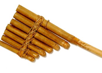 Make musical instruments from nature with the South Fork Natural History Museum.