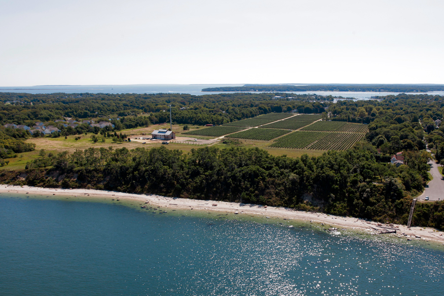 Greenport. Photo credit: Cully/EEFAS