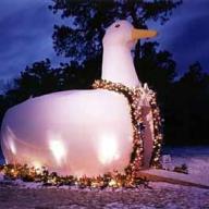 The Big Duck dresses up for Christmas