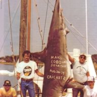 Another monster shark captured from Mundus' fishing boat, "The Cricket II" in 1979