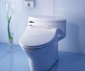 AAAAAsq7wfIAAAAAAU0X8Q