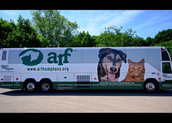 ARF's wrapped Hampton Jitney
