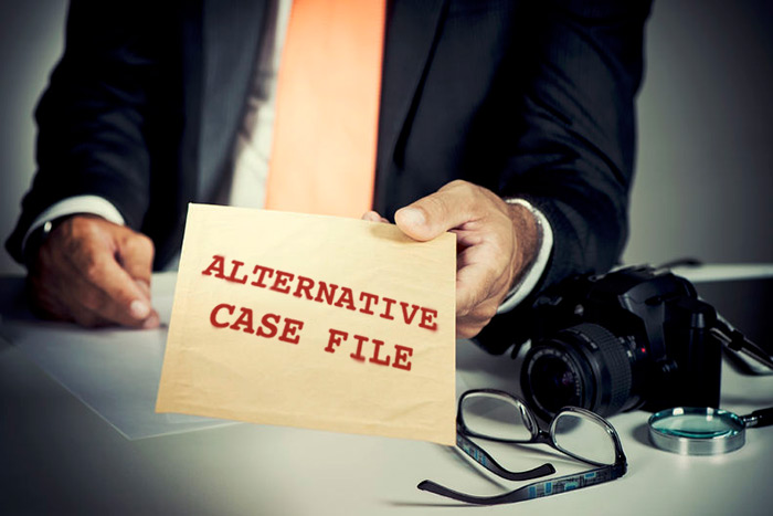 Alternative case file