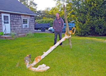 Paul Lester found a historic anchor