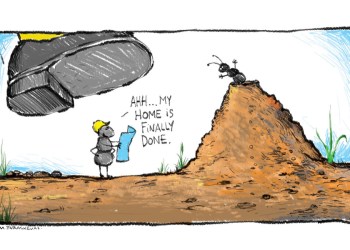 Ant Cartoon By Mickey Paraskevas