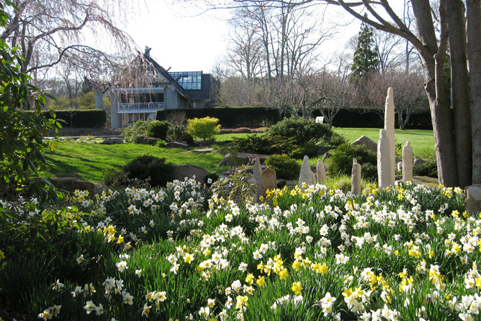 Atsuya Tominaga's "Ninguen" among daffodils in bloom at LongHouse