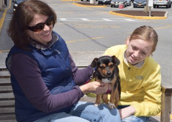 Last Chance Animal Rescue adoption event