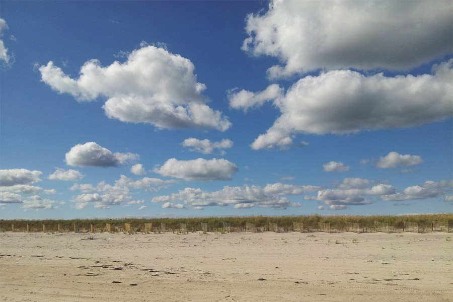 Flying Point Beach in September