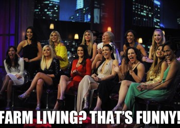 The Bachelor, The Women Tell All Funny Farm Meme