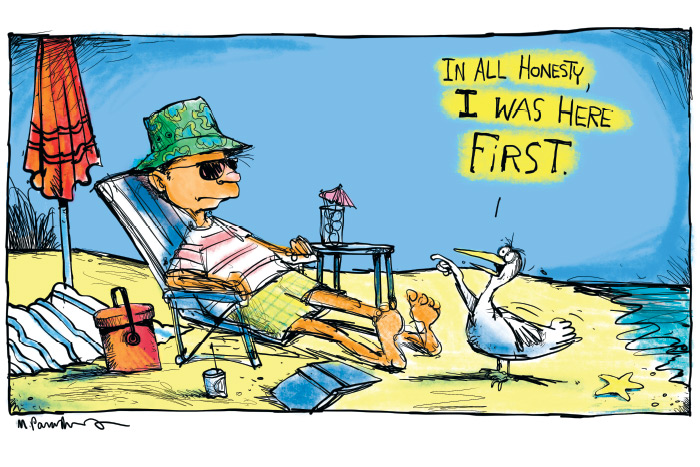 Beach bird cartoon by Mickey Paraskevas