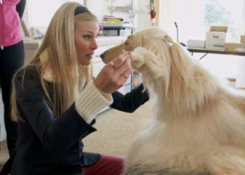 Beth Stern on Spoiled Rotten Pets