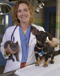 Dr. Robin Brennen
