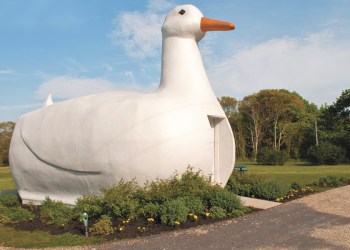 Support the Big Duck this weekend