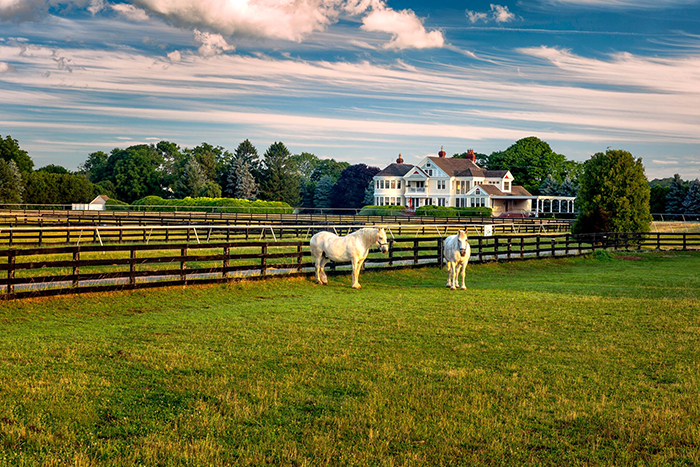 Big E Farm, Jamesport