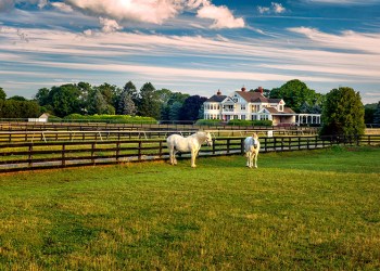 Big E Farm, Jamesport