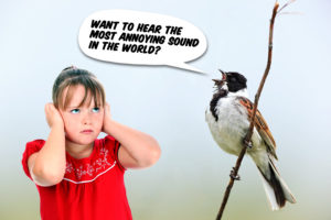Annoying bird song Police Blotter