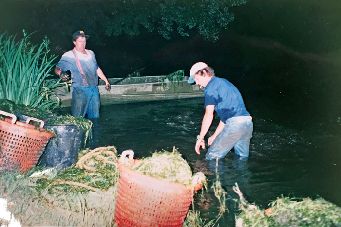 Bonackers cleaning Town Pond