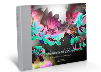 Enlightened Blooms Solarized Diptyxh Photographs by Brad Oliphant published-b -Glitterati Incorporated