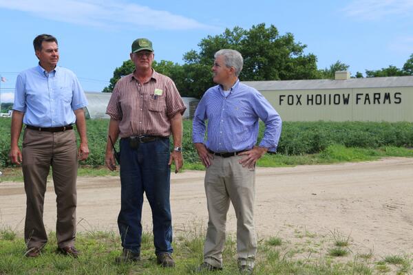 Steve Bellone at Fox Hollow Farms.