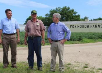 Steve Bellone at Fox Hollow Farms.