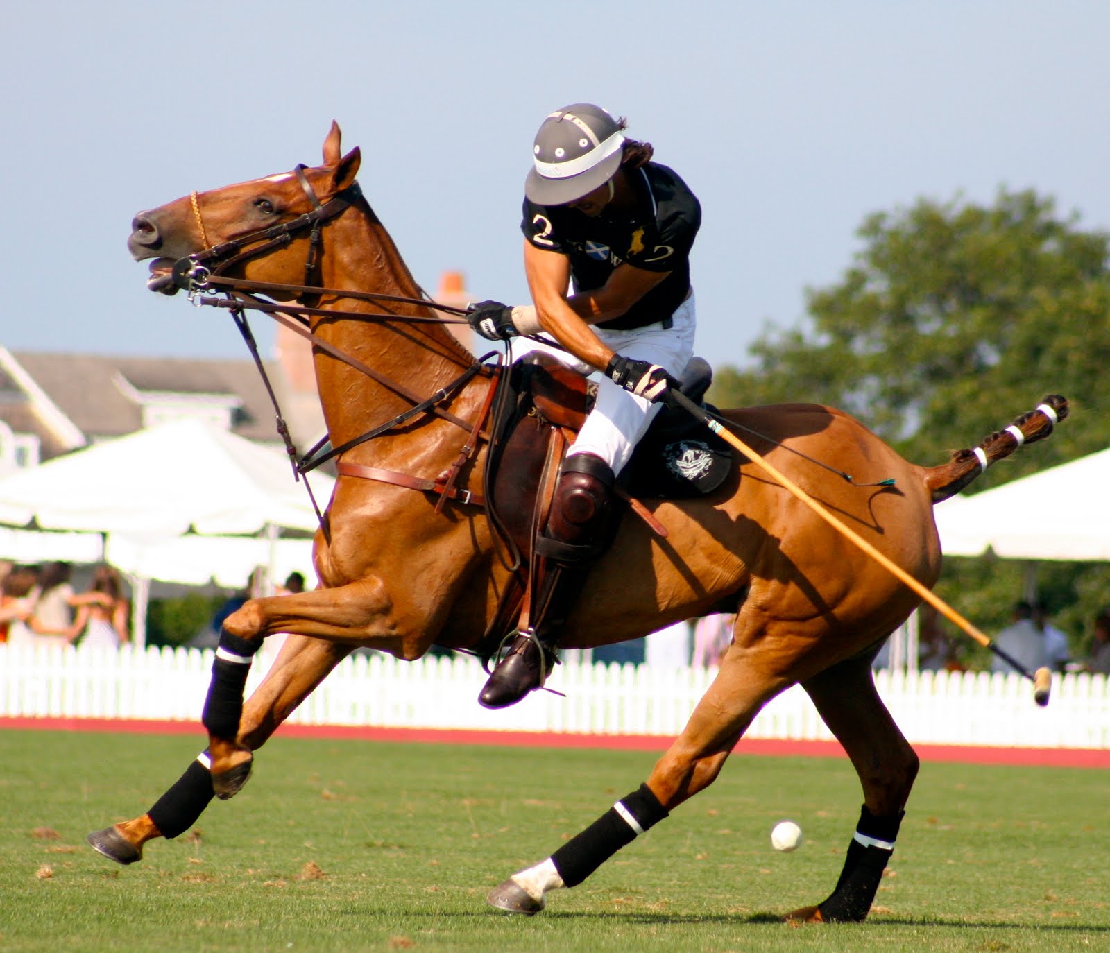 Bridgehampton Polo