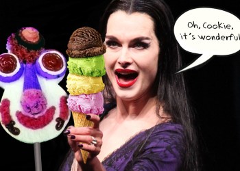 Brooke Shields ice cream Cookie Puss