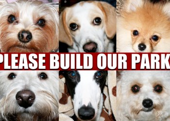 Build Our Southampton Village Dog Park