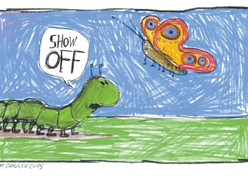 Butterfly Cartoon by Mickey Paraskevas