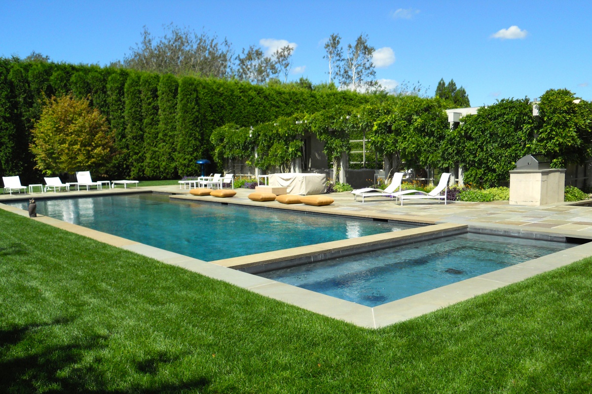 pool photo behind the hedges