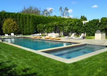 pool photo behind the hedges