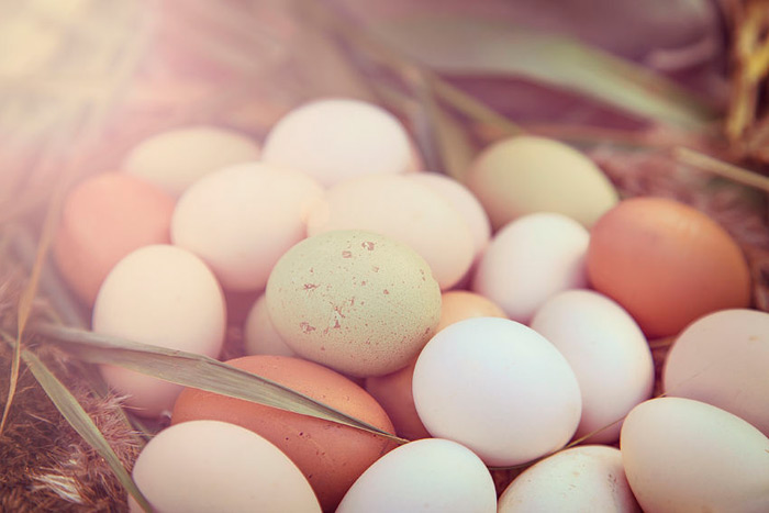 Cage-free eggs are the way of the future