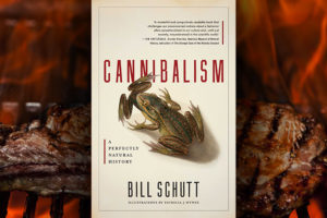 Cannibalism by Bill Schutt