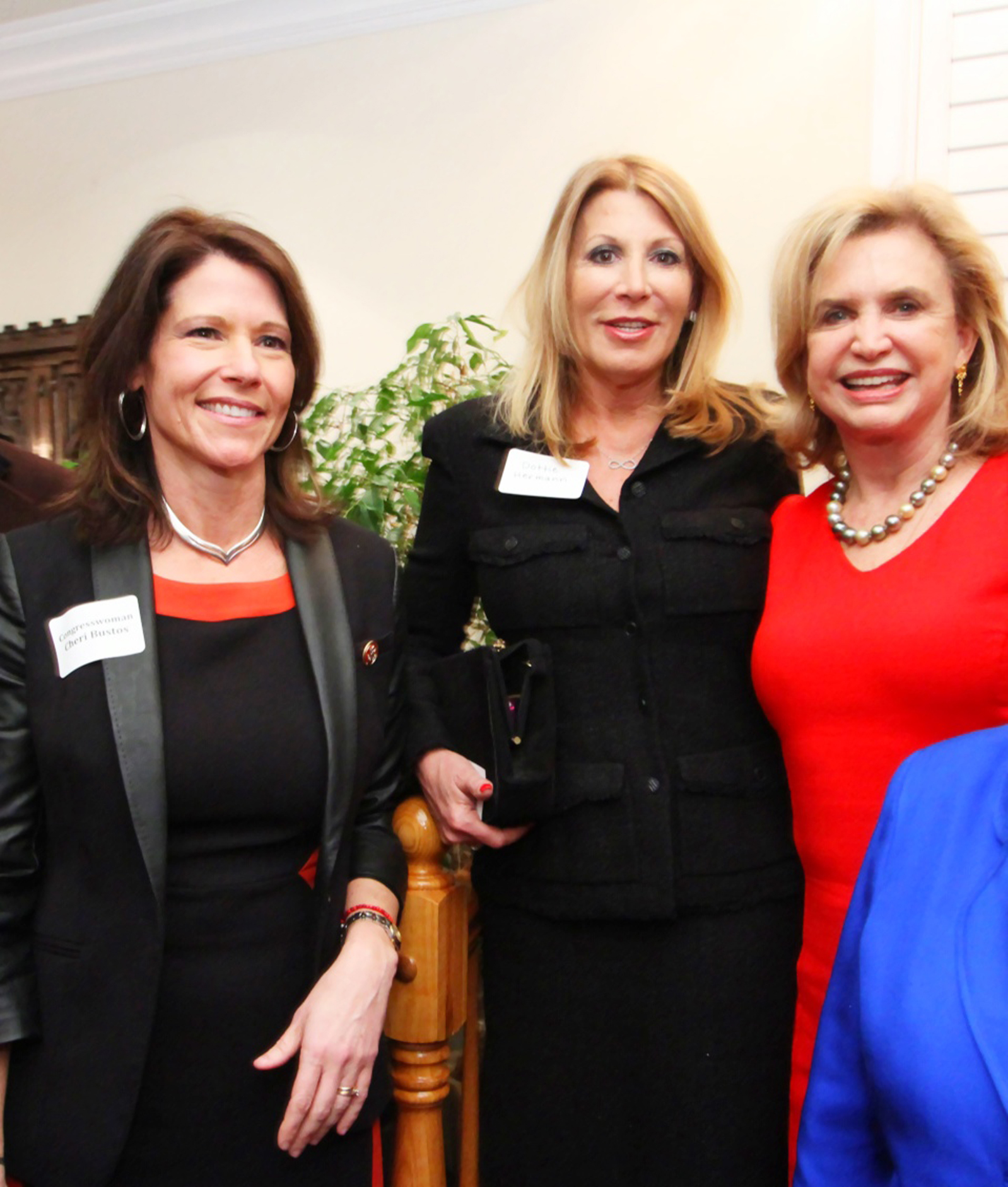 Congresswoman Cheri Bustos, Dottie Herman, Congresswoman Carolyn Maloney in Washington