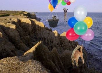 The Labor Day Holiday Cat Float in Montauk