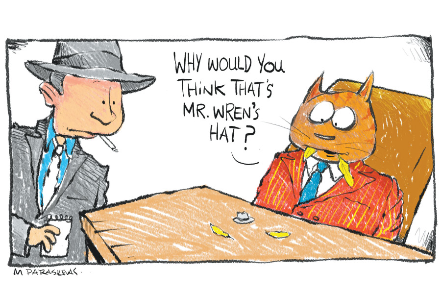 Cat Wren hat Cartoon By Mickey Paraskevas