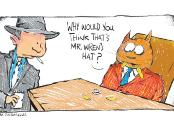 Cat Wren hat Cartoon By Mickey Paraskevas