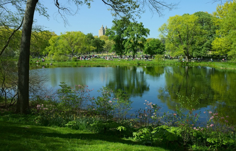 Central Park