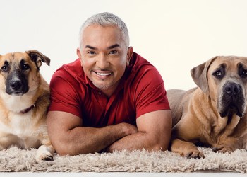 Cesar Millan