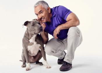 Cesar Millan