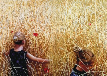 April 9, 2015 Dan's Papers cover by Charles Wildbank