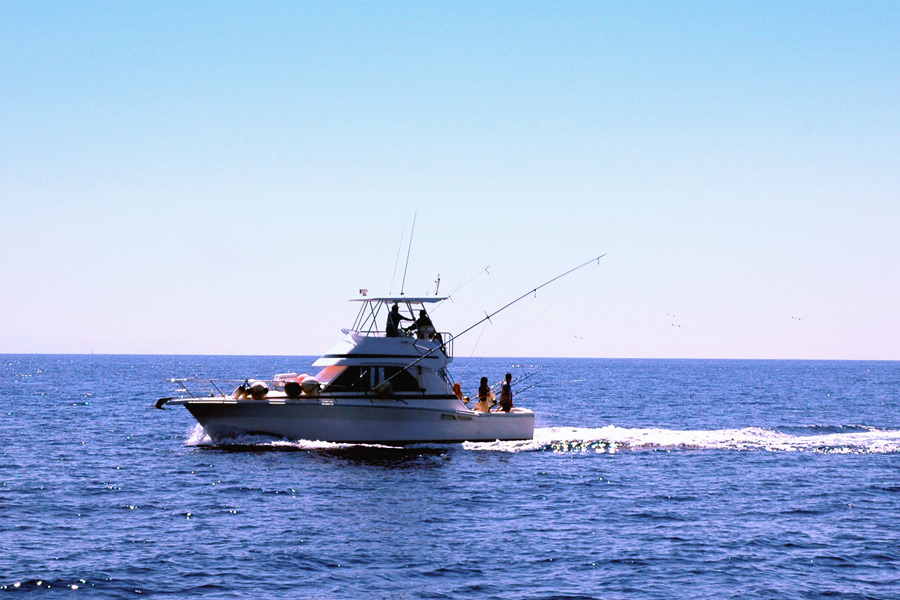 Fishing Charter Boat Close