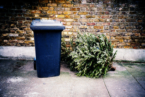 Christmas Tree dumped by trashcan