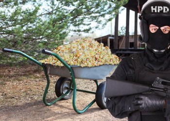 An illegal coleslaw dump under guard