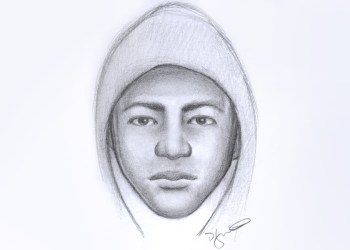Composite of a suspect in Tuesday's assault in Riverhead.