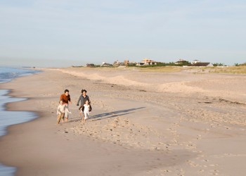 Coopers Beach