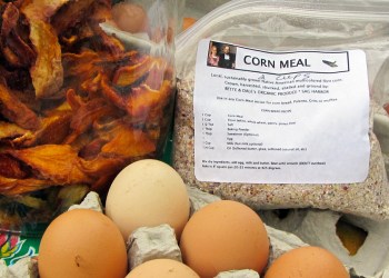 Local Cornbread Muffins Ingredients