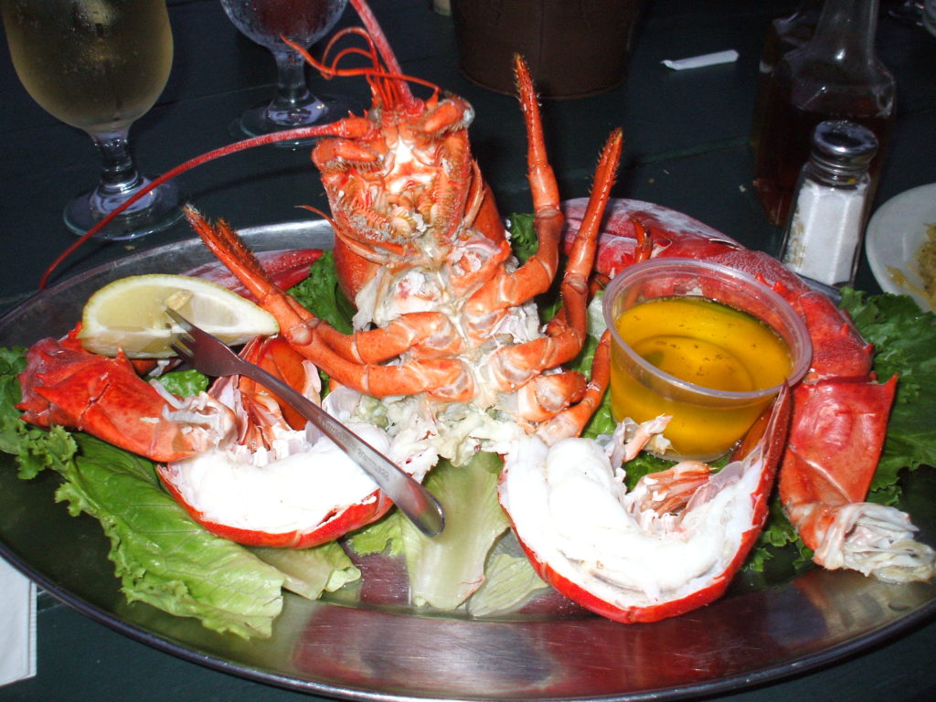 Restaurant Review Orient by the Sea Dan’s Papers