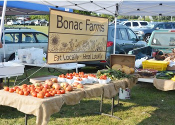 Bonac Farms at the Hayground School Farmers Market.