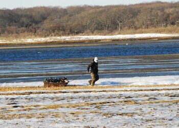The Driver's Seat Restaurant on Jobs Lane in Southampton Village.