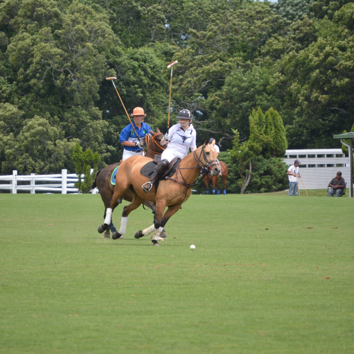 #artpolo at #arthamptons.